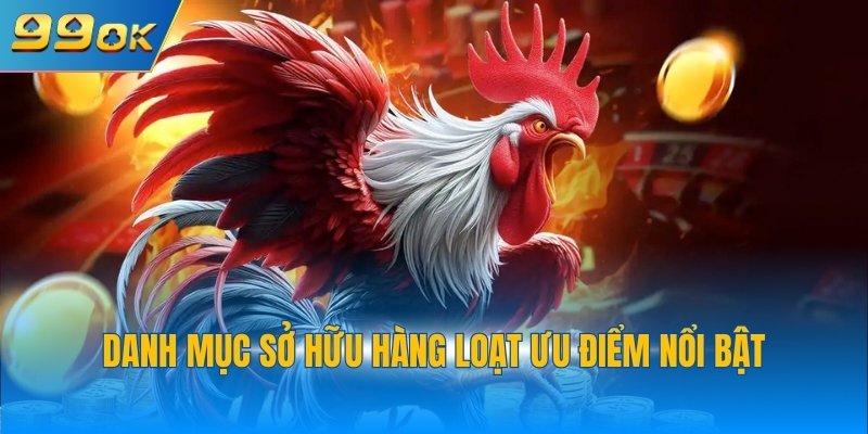 Danh mục sở hữu hàng loạt ưu điểm nổi bật